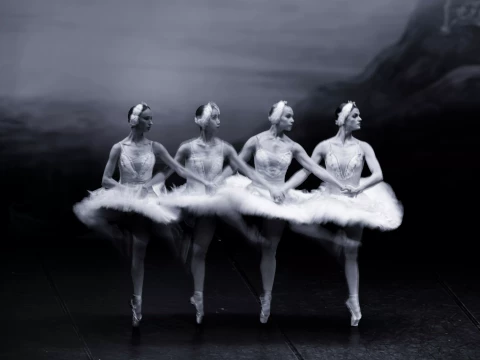 Dowiedz się czegoś więcej o balecie!